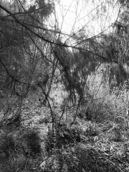 Tempus Fugit (CHN) : The Shadow Beneath the Sun